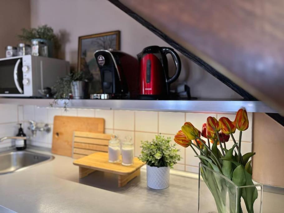 2-floor Traditional Apartament *